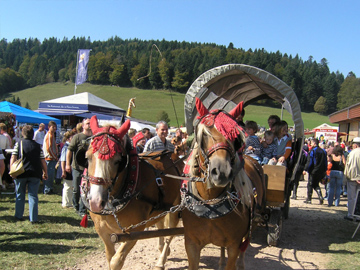 Fest mit Kutsche, Kultur, Natur