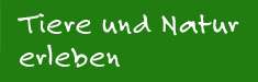 Tiere und Natur erleben