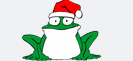 Der Frosch Quack