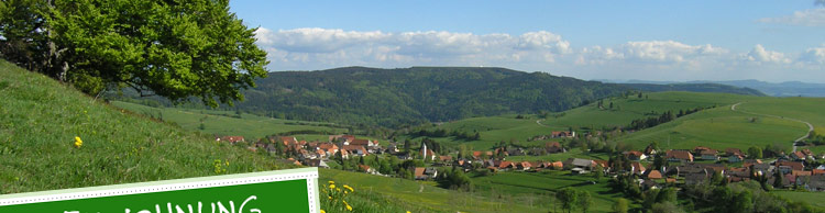Alpenblick, Ferienwohnung, Schweizer Alpen, Dreil&auml;ndereck, Gersbach, Urlaub