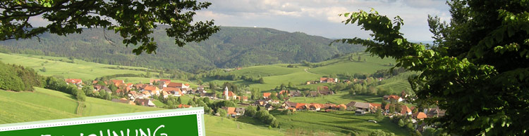 Alpenblick, Ferienwohnung, Schweizer Alpen, Dreil&auml;ndereck, Gersbach, Urlaub