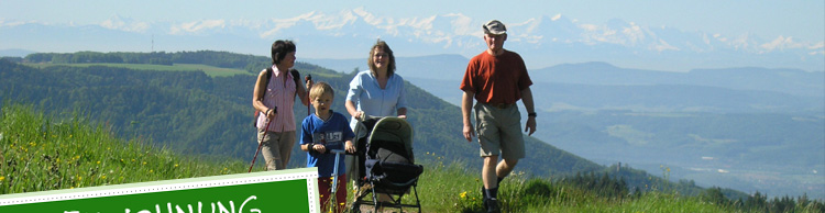 Alpenblick, Ferienwohnung, Schweizer Alpen, Dreil&auml;ndereck, Gersbach, Urlaub